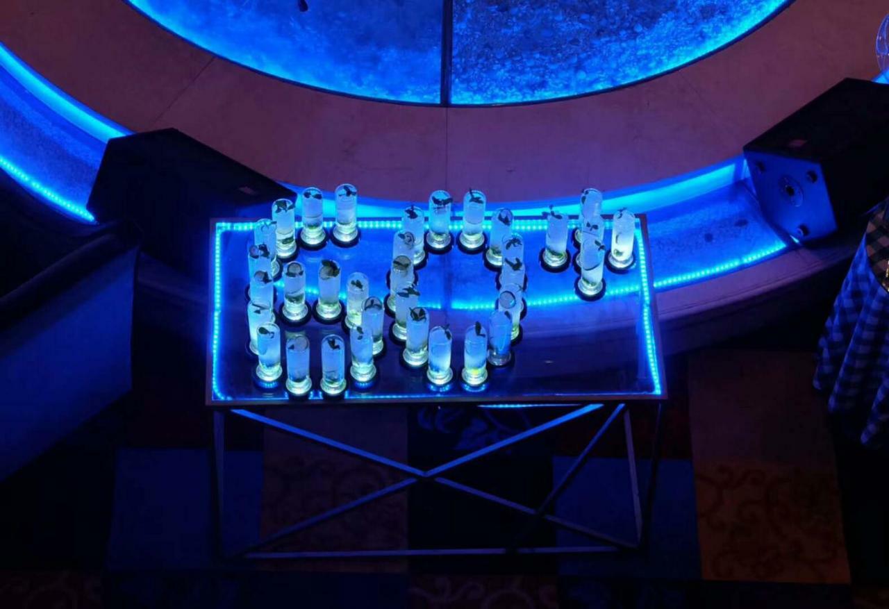 Ramada Plaza Optics Valley Hotel Vuhan Dış mekan fotoğraf